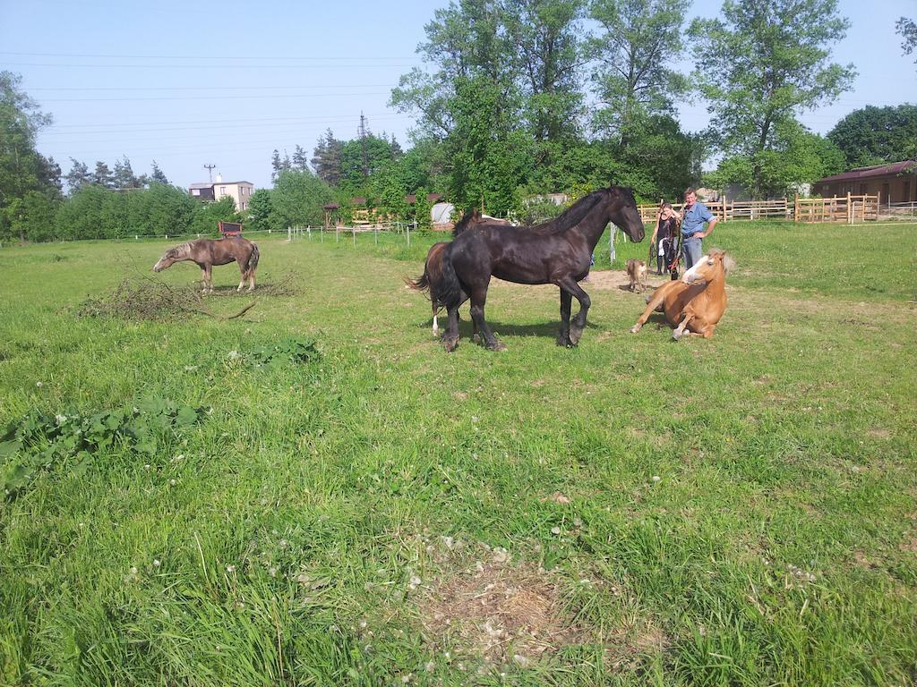 Ranc Orlice Villa Třebechovice pod Orebem Buitenkant foto